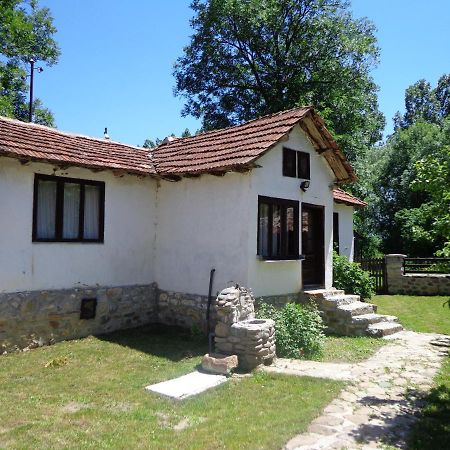 Villa Etno Kuca Nikolov Dimitrovgrad Exterior foto