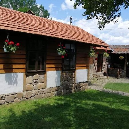 Villa Etno Kuca Nikolov Dimitrovgrad Exterior foto