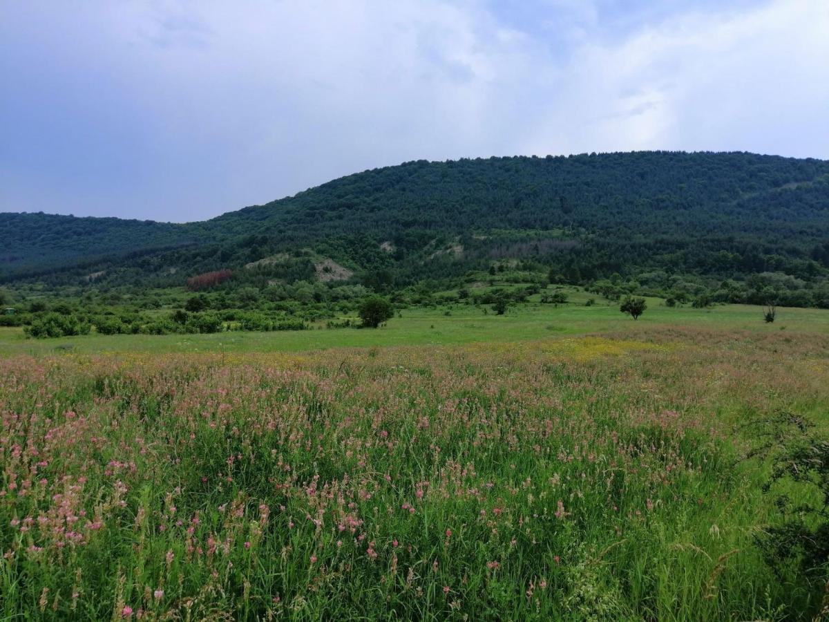 Villa Etno Kuca Nikolov Dimitrovgrad Exterior foto