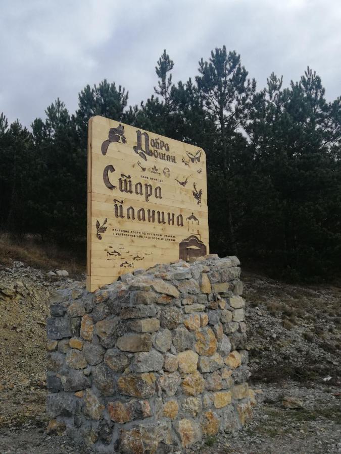 Villa Etno Kuca Nikolov Dimitrovgrad Exterior foto