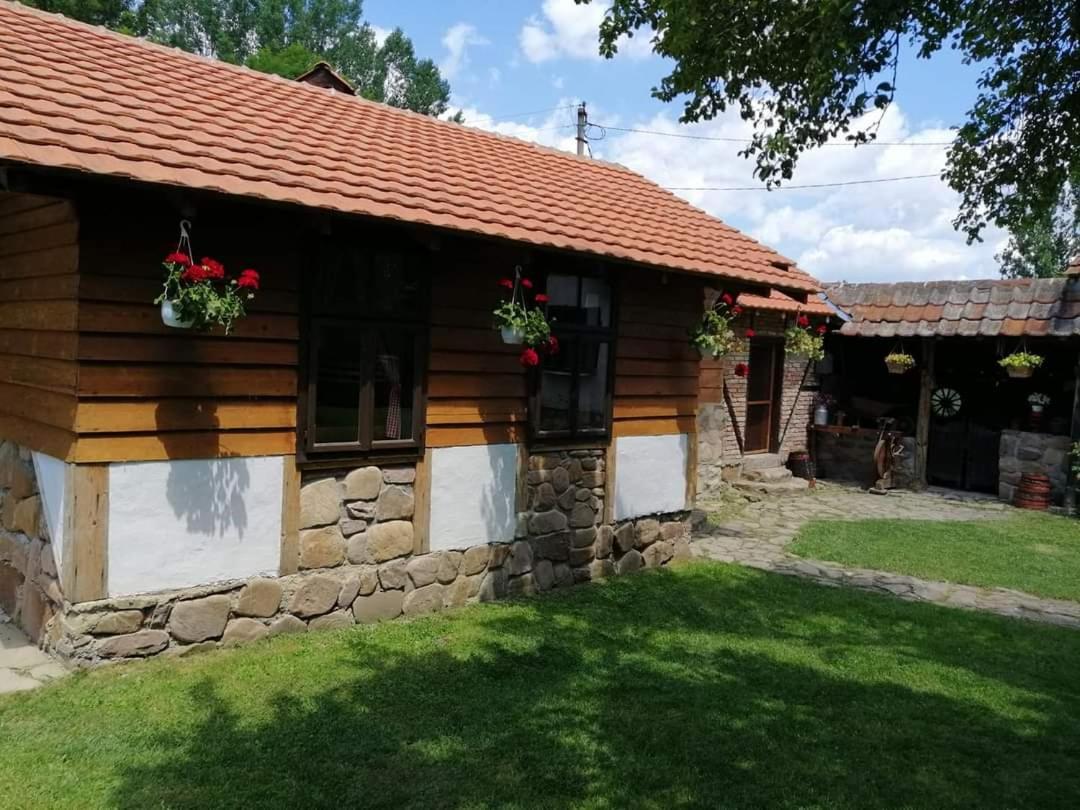 Villa Etno Kuca Nikolov Dimitrovgrad Exterior foto